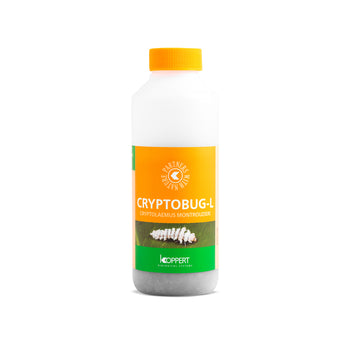 Beneficial Cryptobug-L 1000pk (04636)